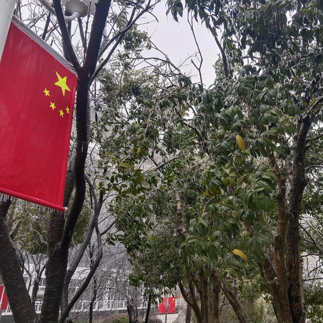 河西 二叔(罗）