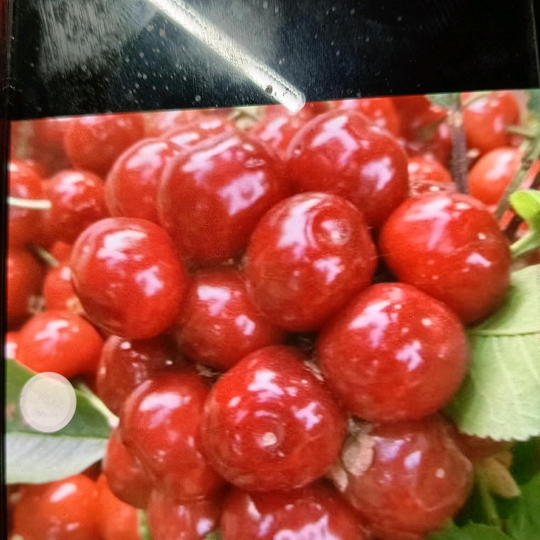 幸福时光巜回族》《拒聊》《拒连赞》三妞