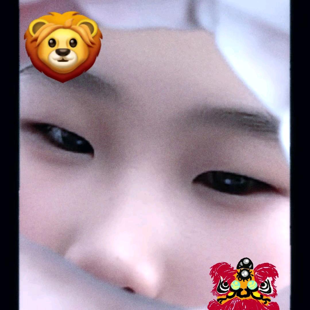 汵汵 · 月声🦁