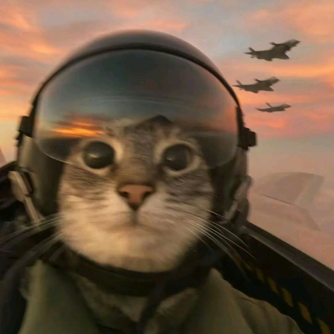 B（三角洲行动）