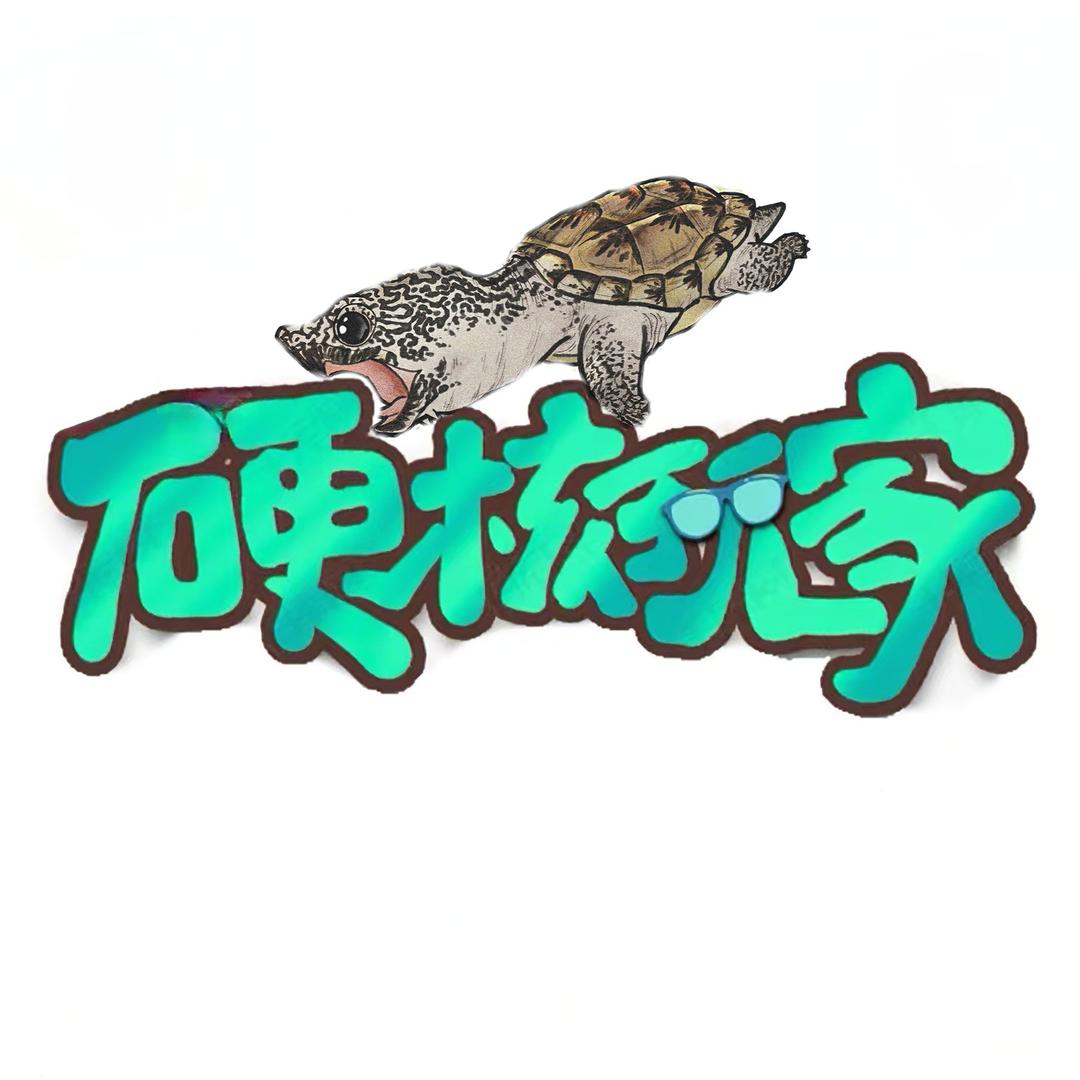 硬核玩家.