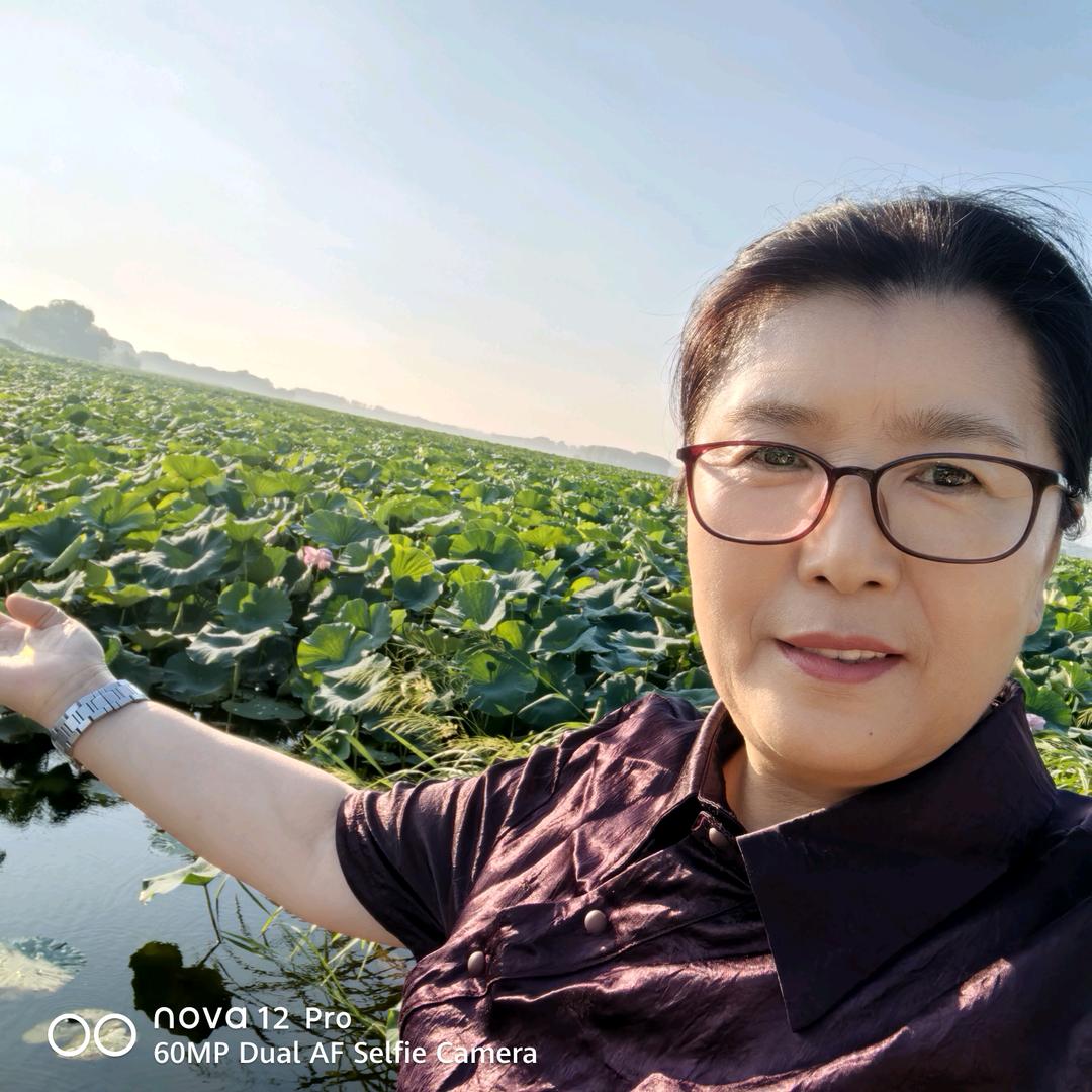 🍁秋天的枫叶🍁