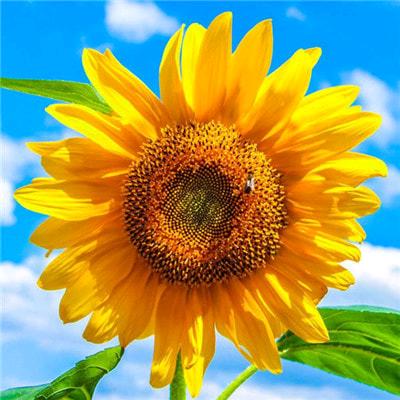 美丽风景在路上