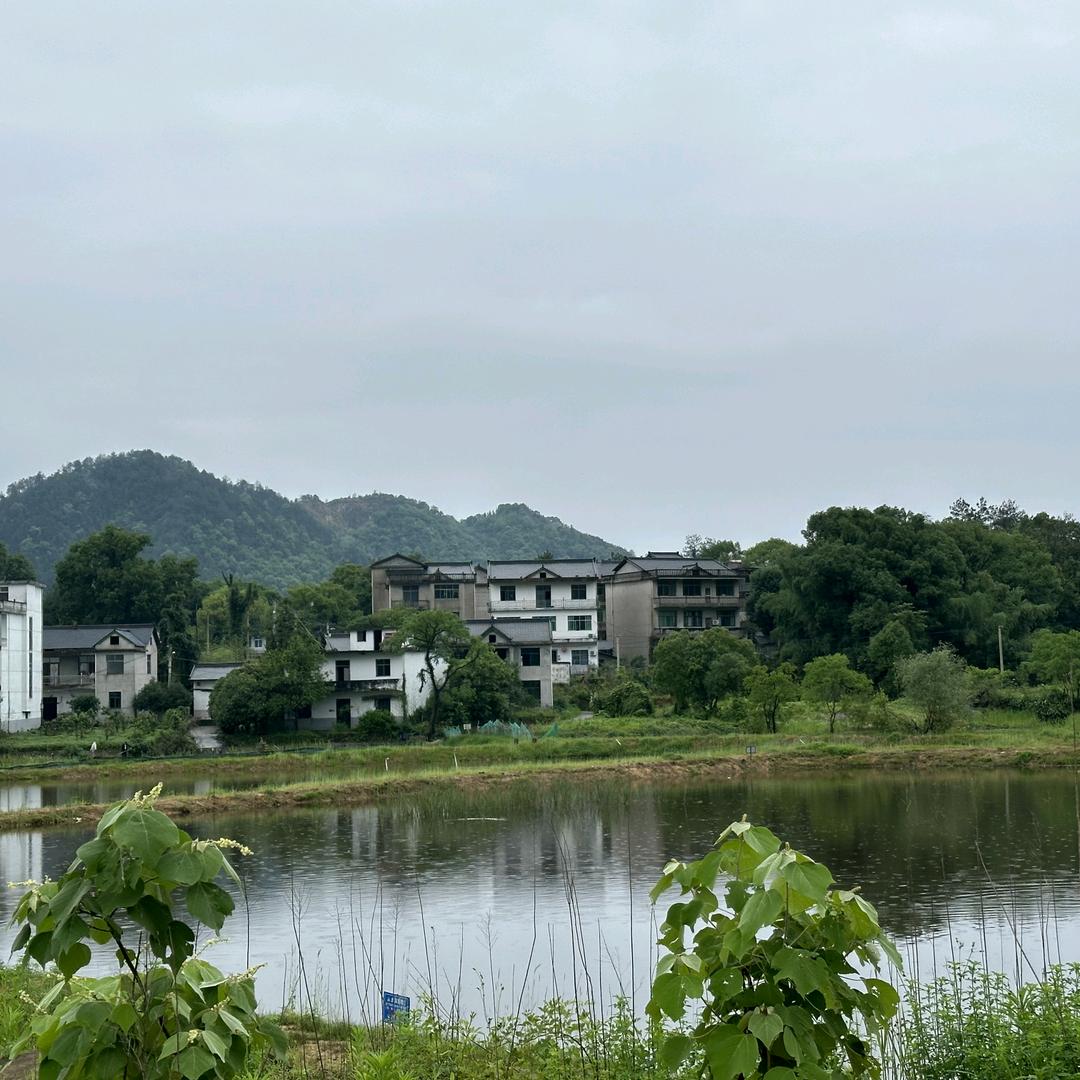 初见
