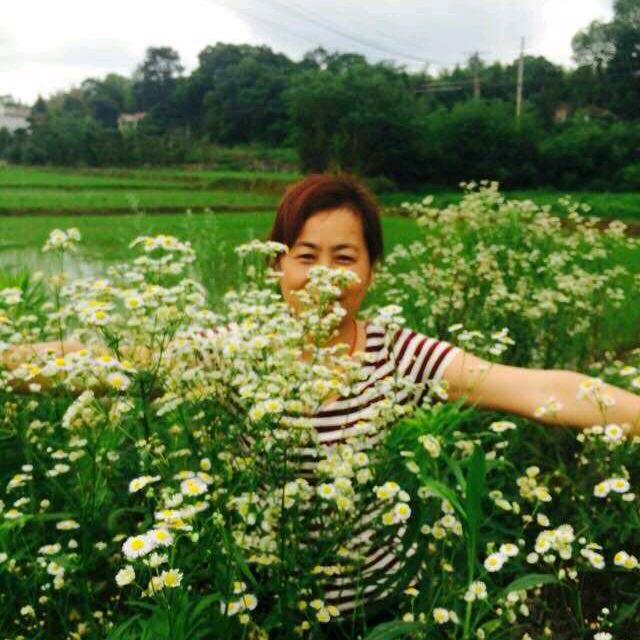 棉花