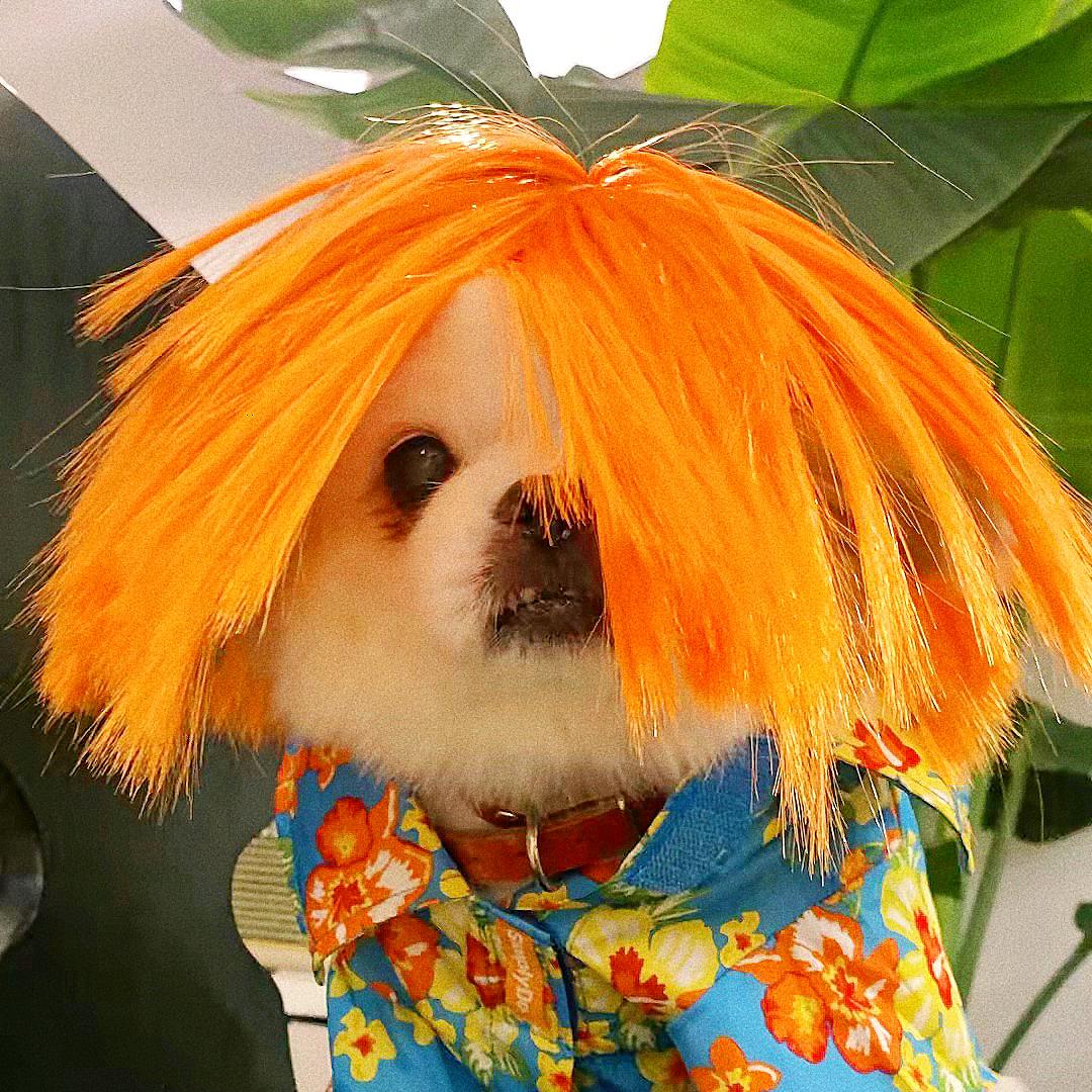 BoBo