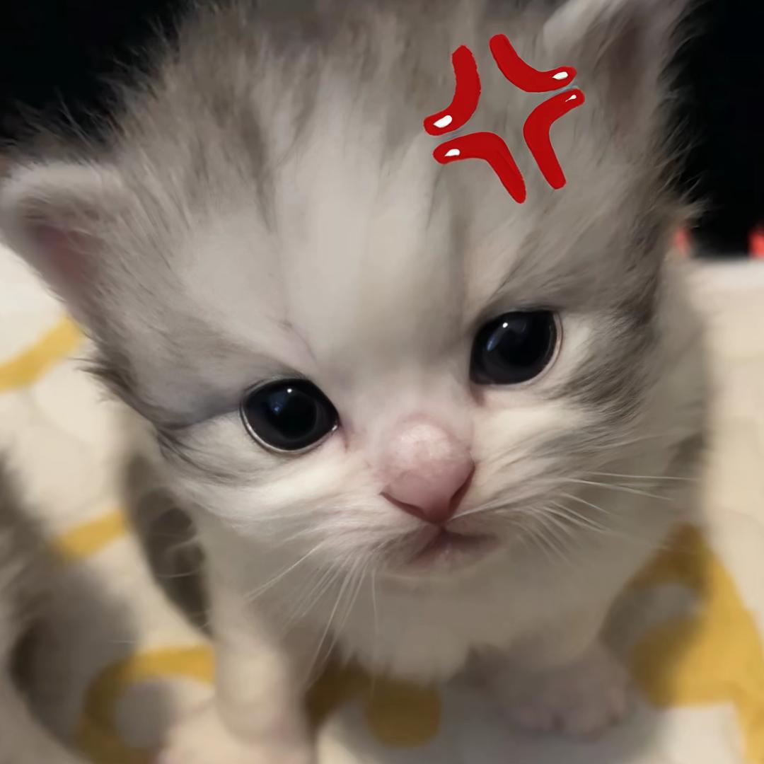 瑜