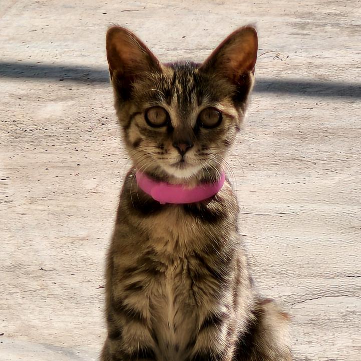 雨夜带伞不带刀