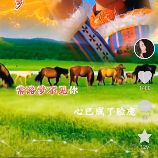 财哥牛羊肉批发