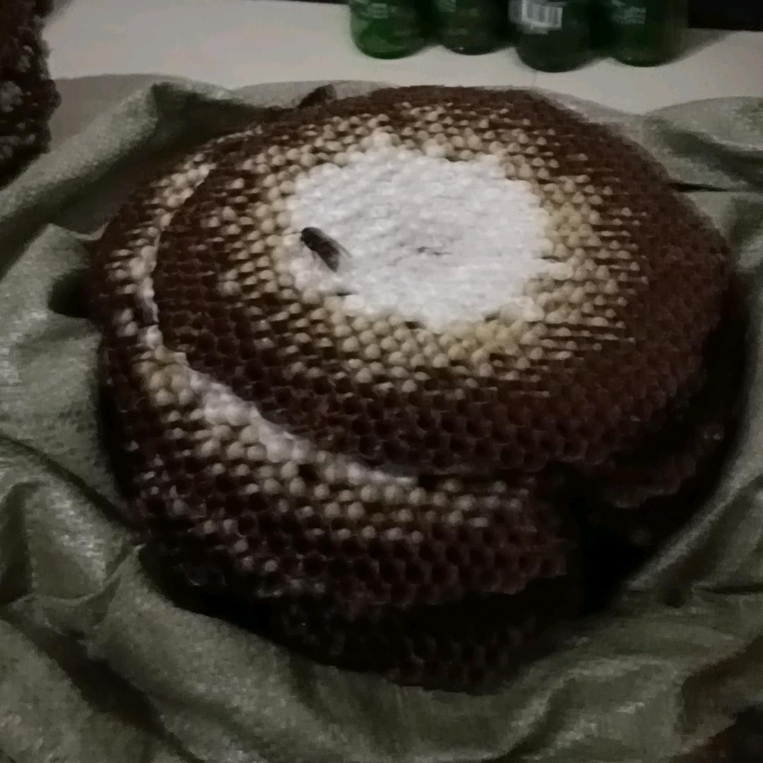 街角风铃