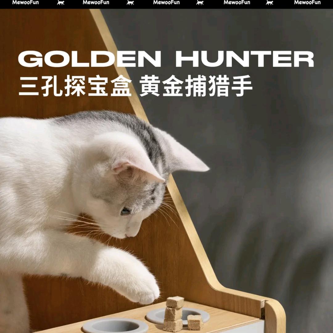 爱宠叫小胖丫