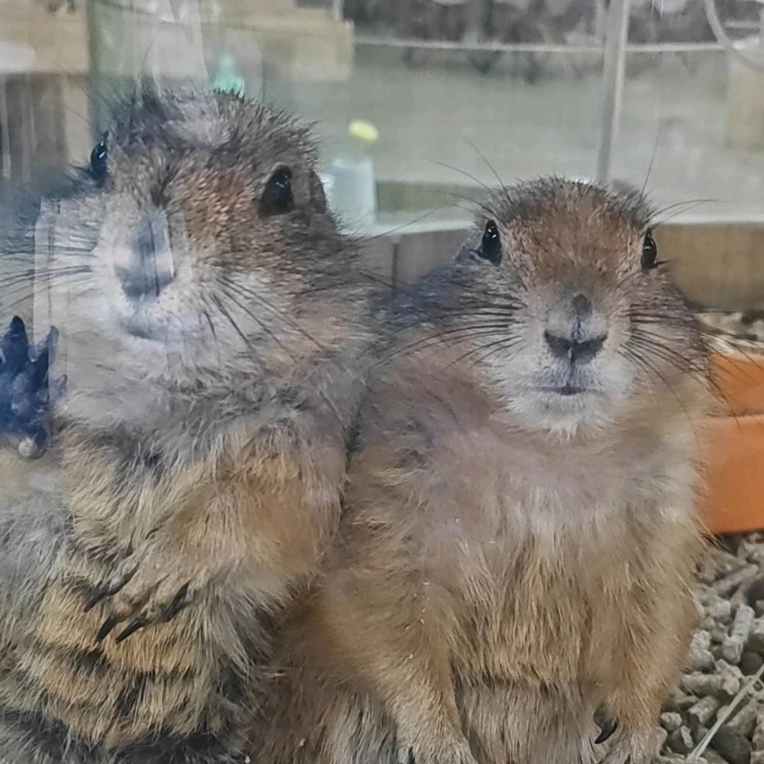 鸭小七（仙游中骏店）