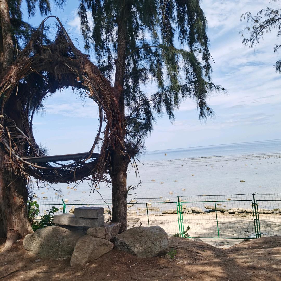 哎呦我去@