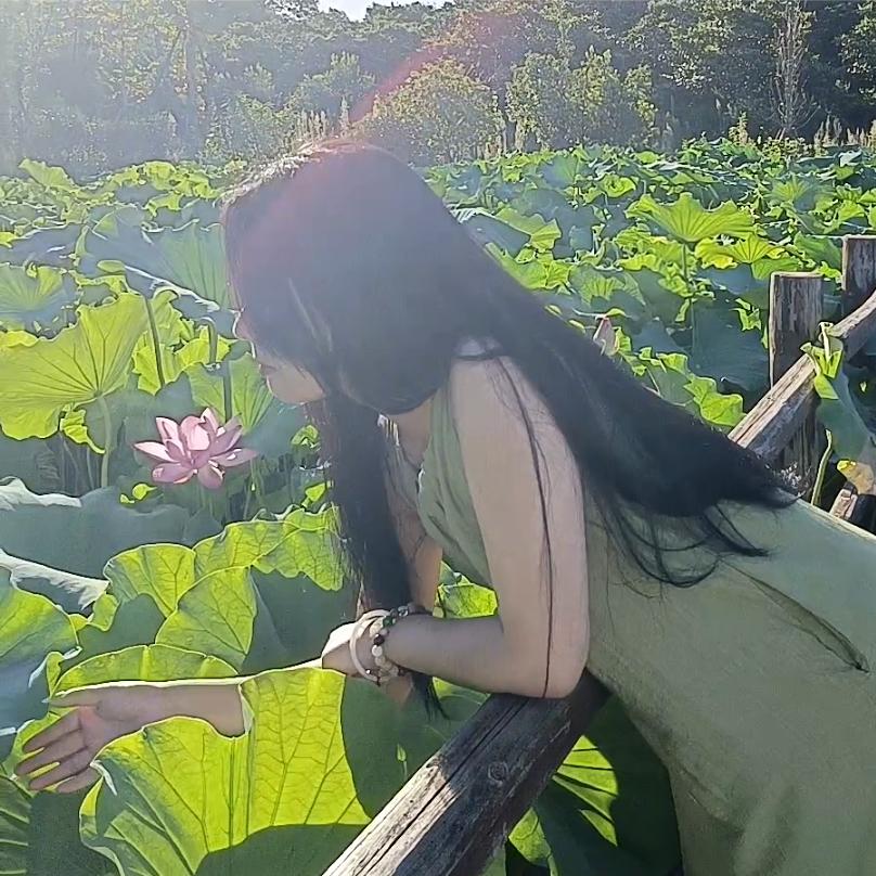 杨子艺