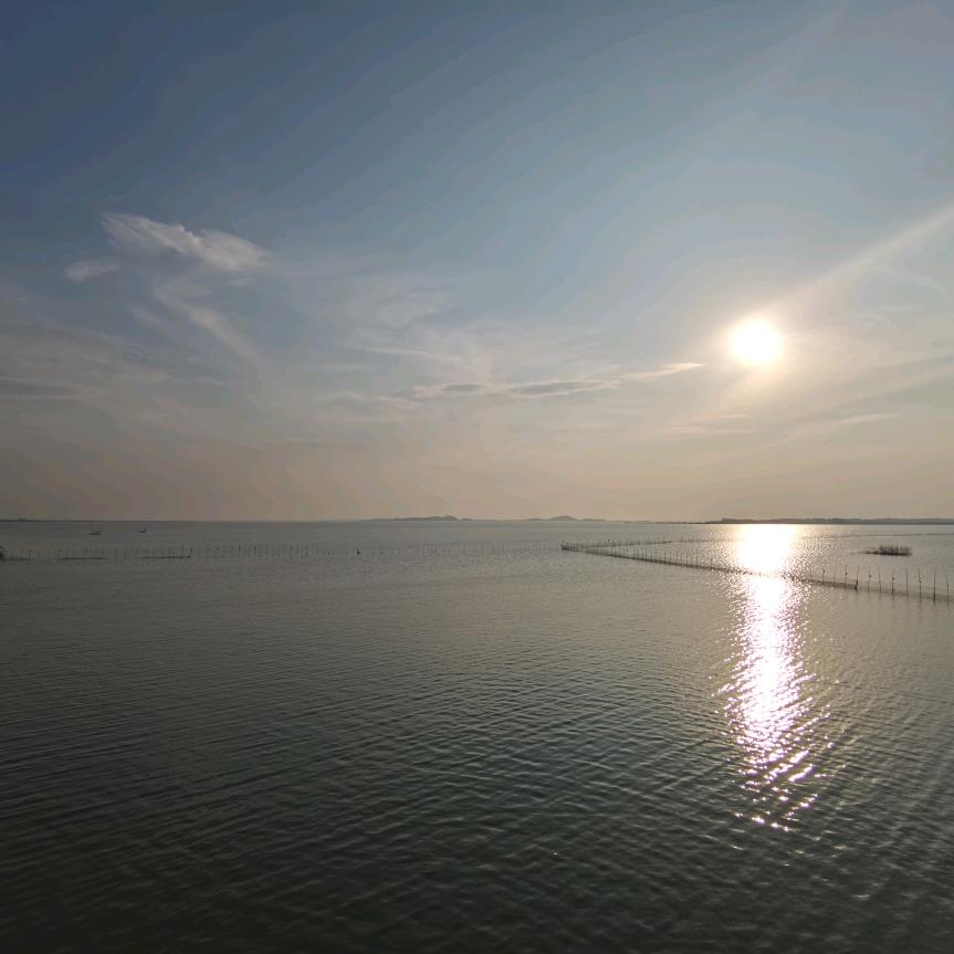 大大大大大大大佬