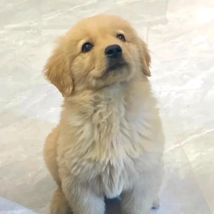 哪壶不开提哪壶