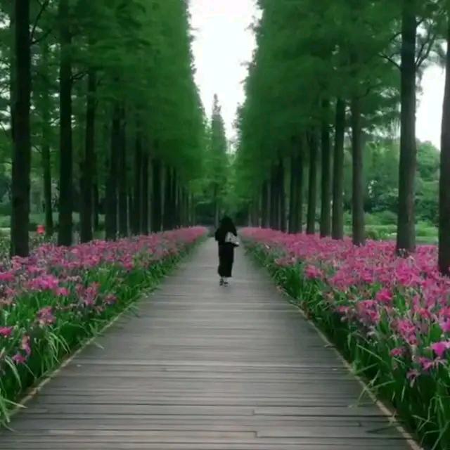 轻浅旧时光