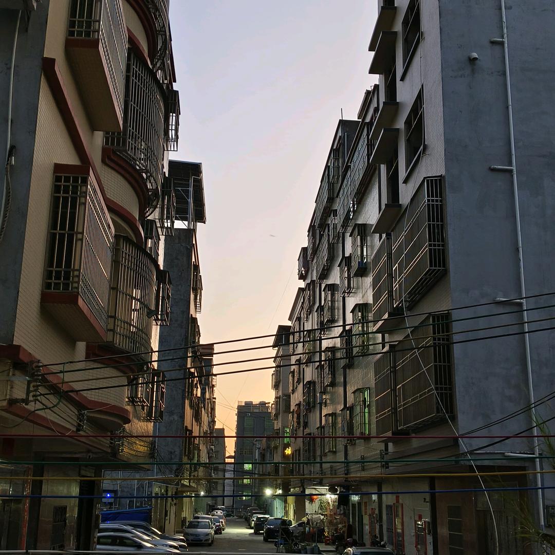 团团👪