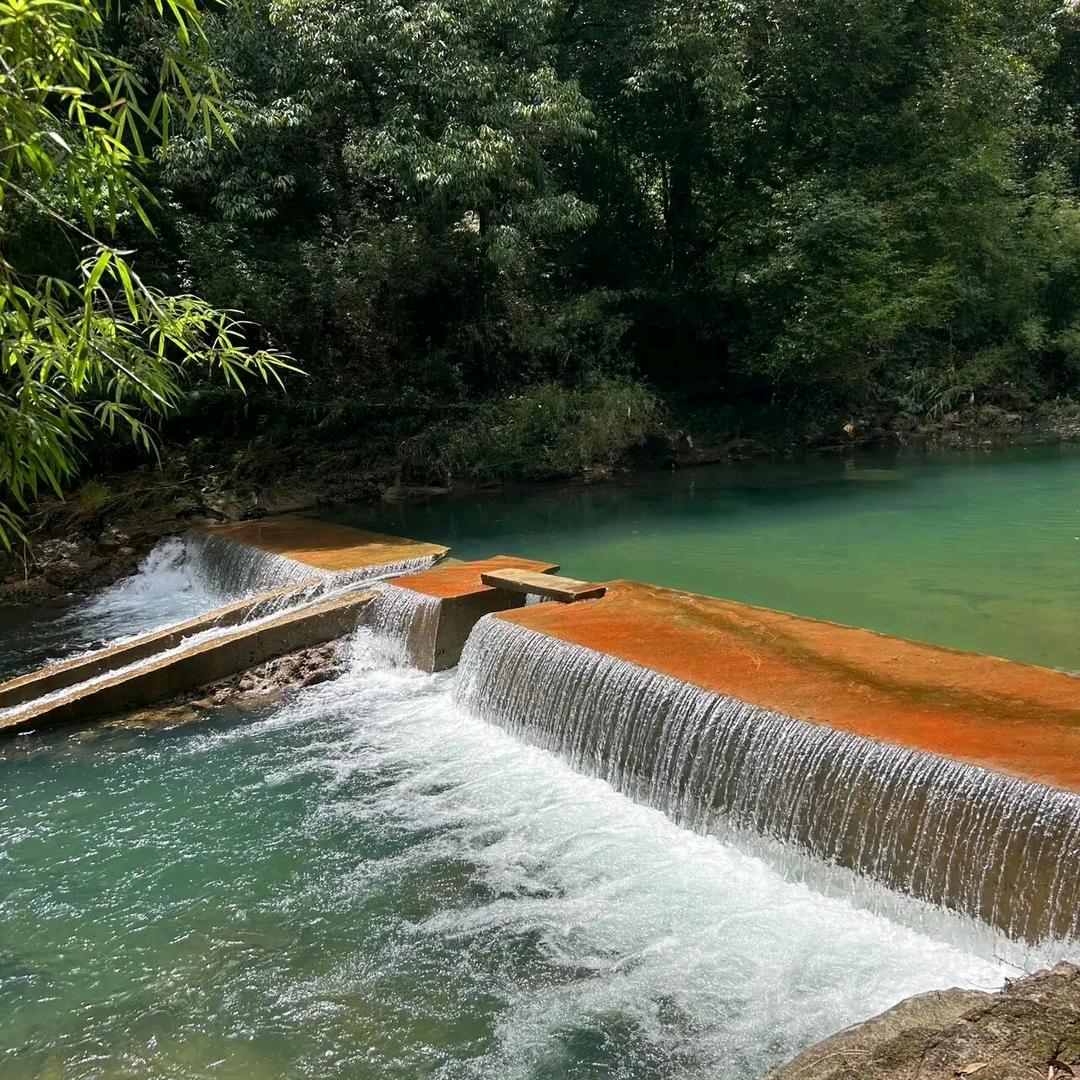 淡然一生微笑一世