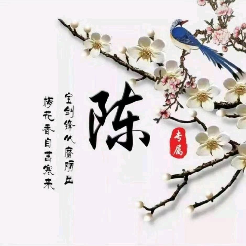 龙飞凤舞
