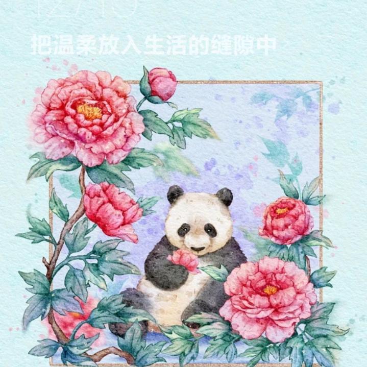 星星疏通管道