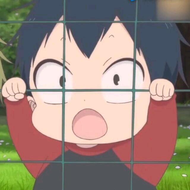 阿徕
