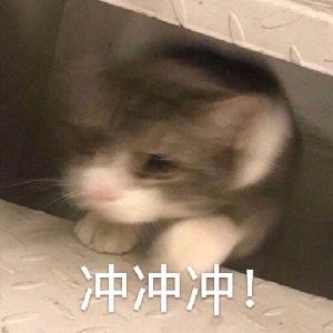 轩宝轩宝心态真好