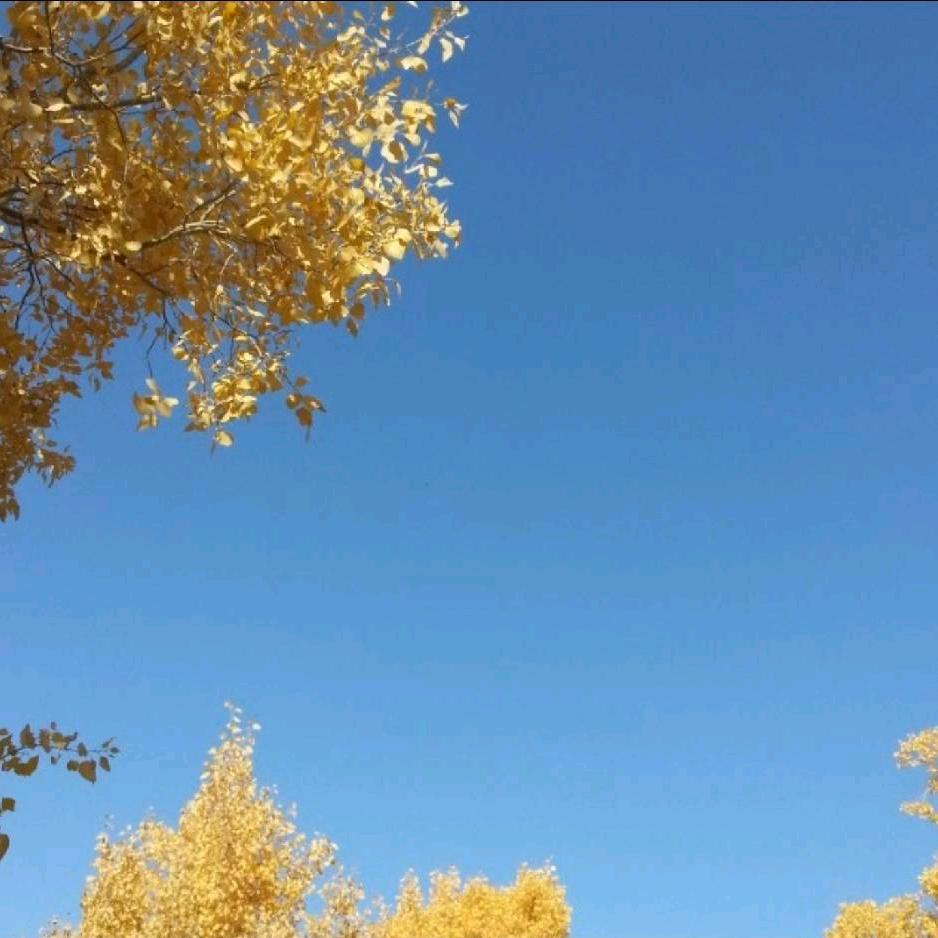 郑昊