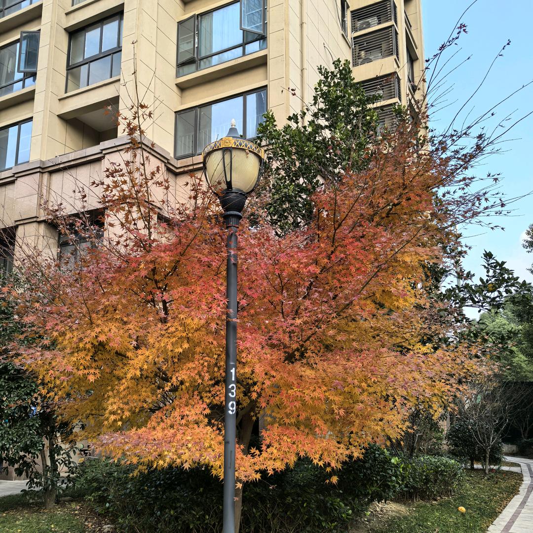 热爱生活吧
