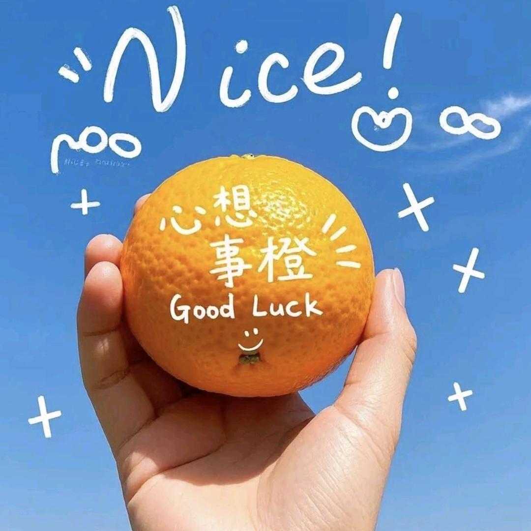 梦中的天使