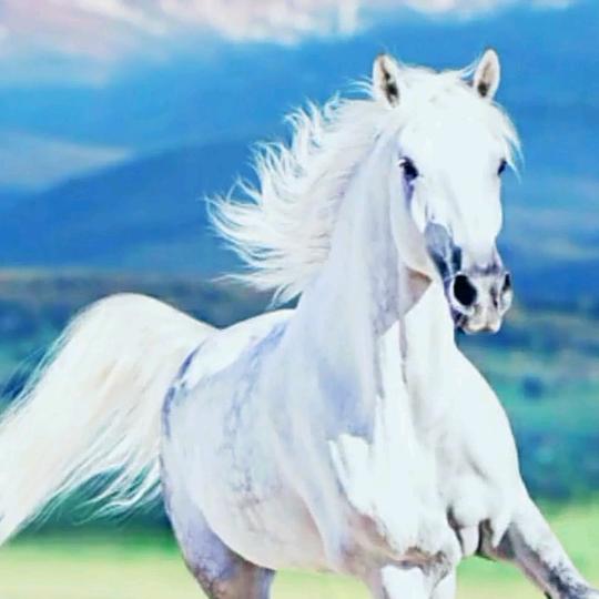 💌高压锅炖主播肯定好吃💌