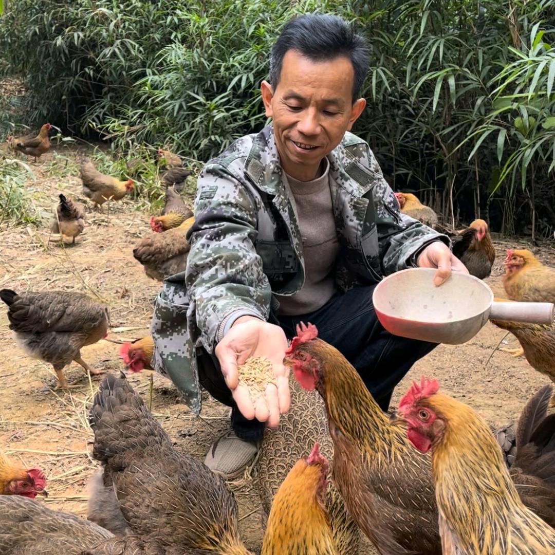 高山农品（初生蛋）