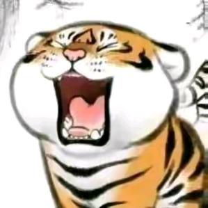 大猫来了