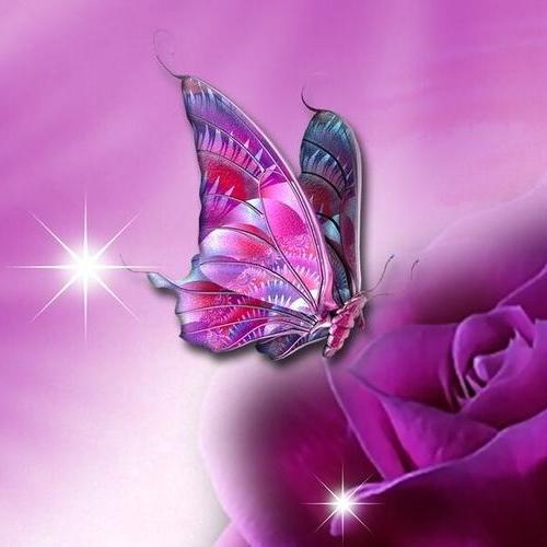 🌜小虎牙·墨樂🌛