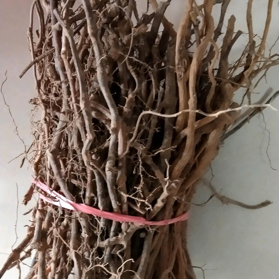正宗草药。