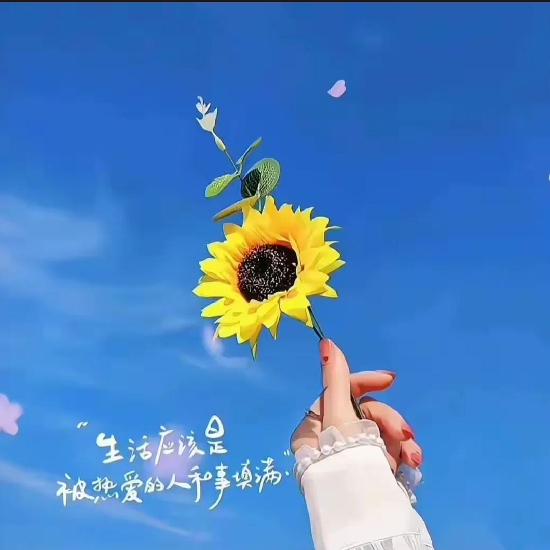 绝爱艺术家