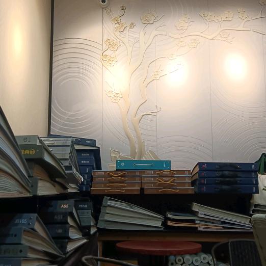 墙布装饰《莎城》