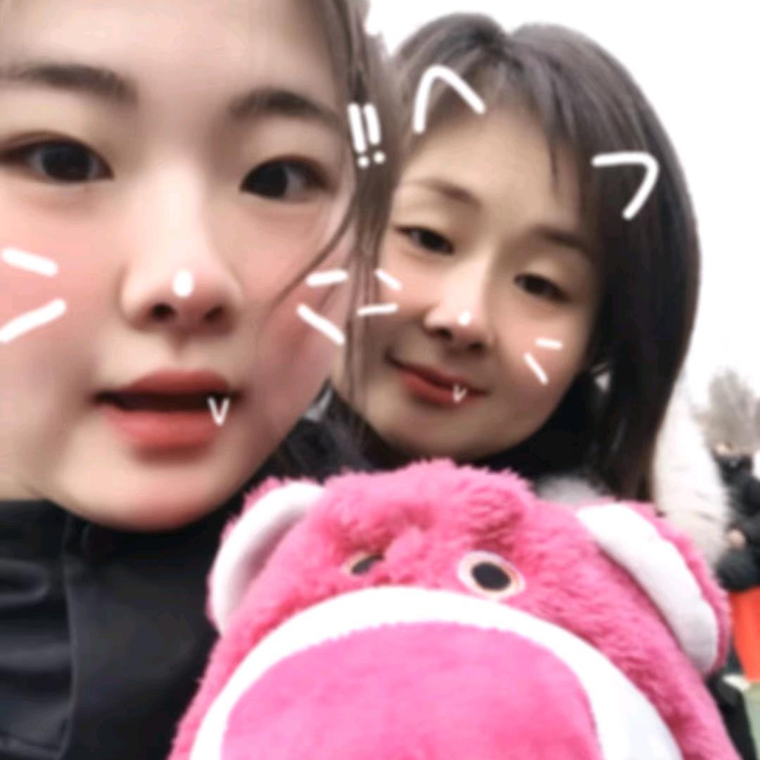 小胖胖猪
