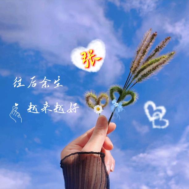 🍀孤单🌺不易🍀