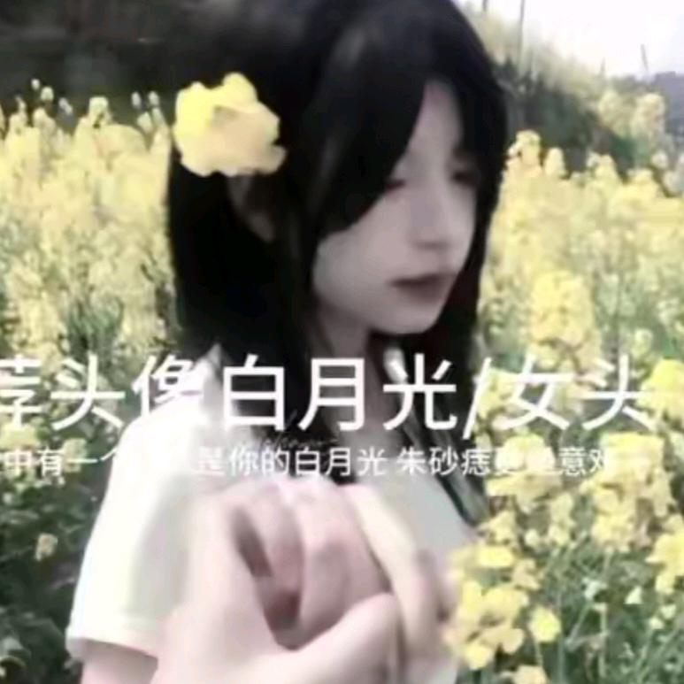 摆烂螃蟹🤑🤑🤑
