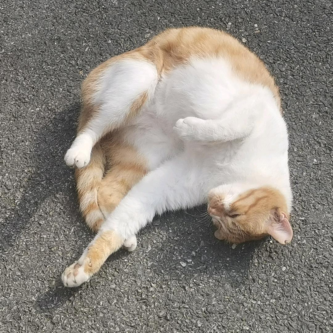 星星