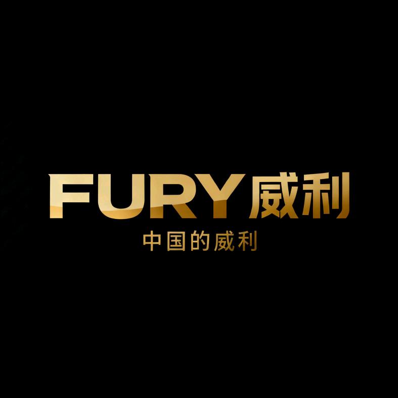 FURY 威利台球杆