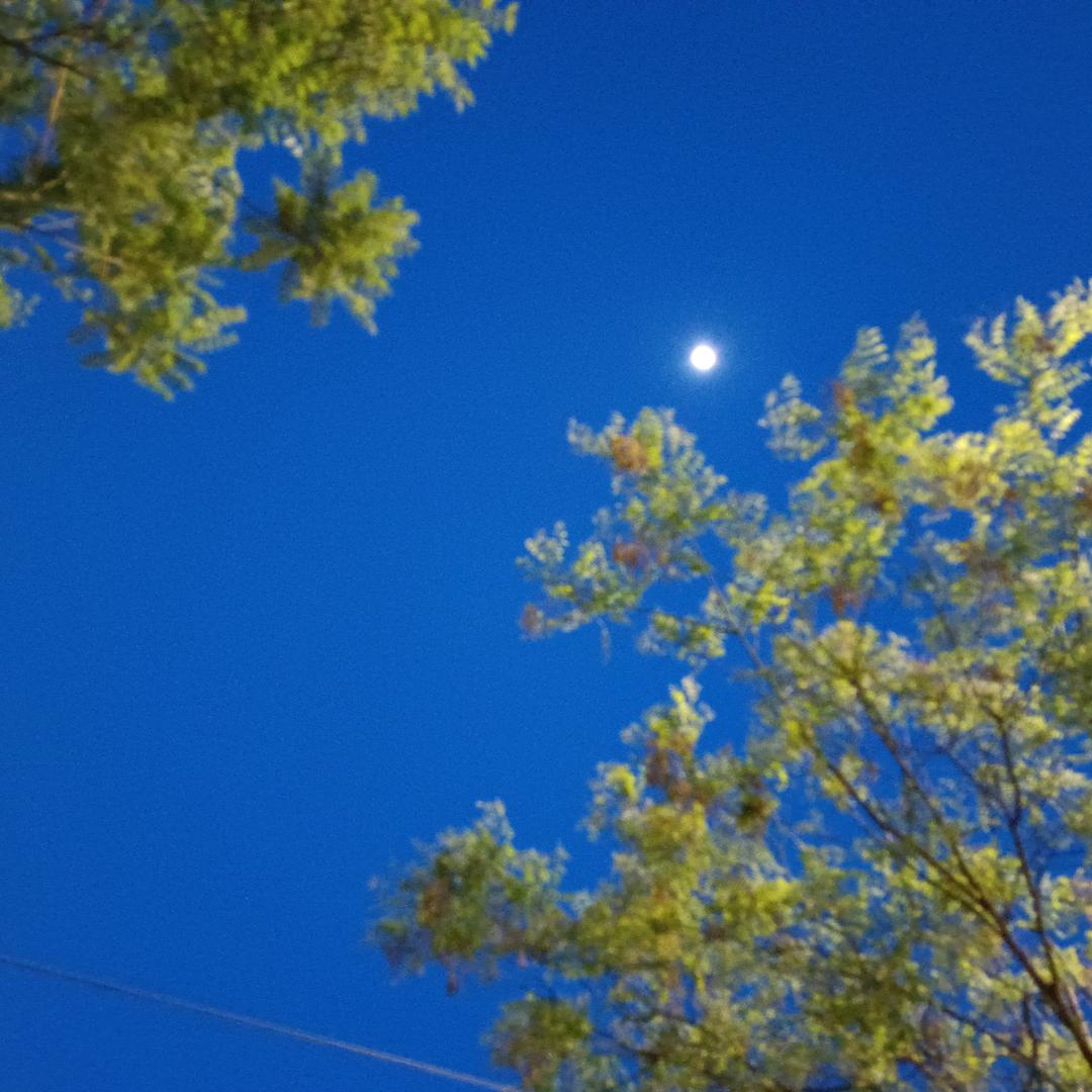 知圆—安稳平静