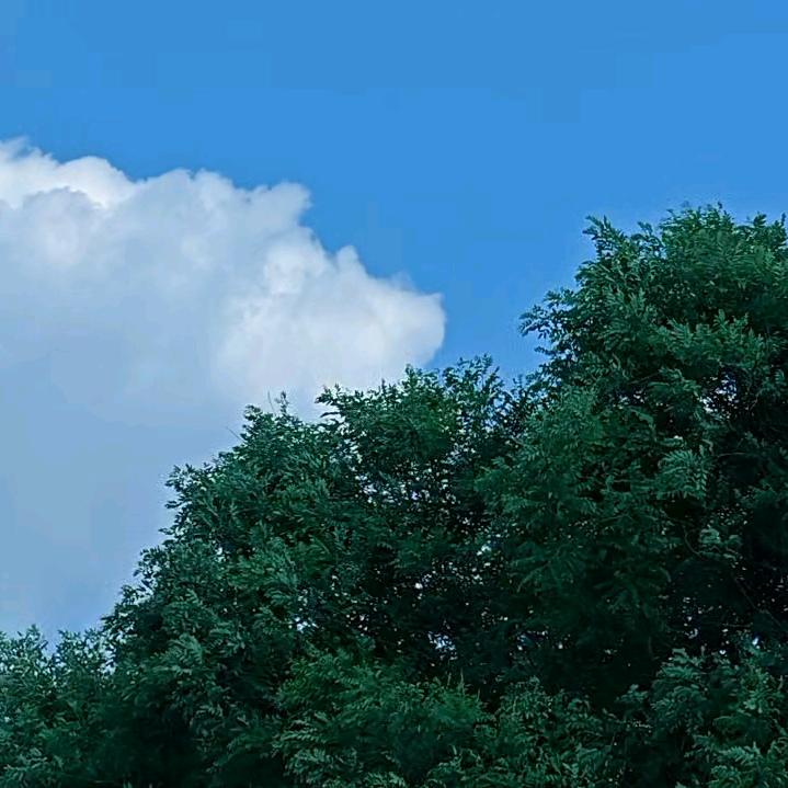 风禾正起