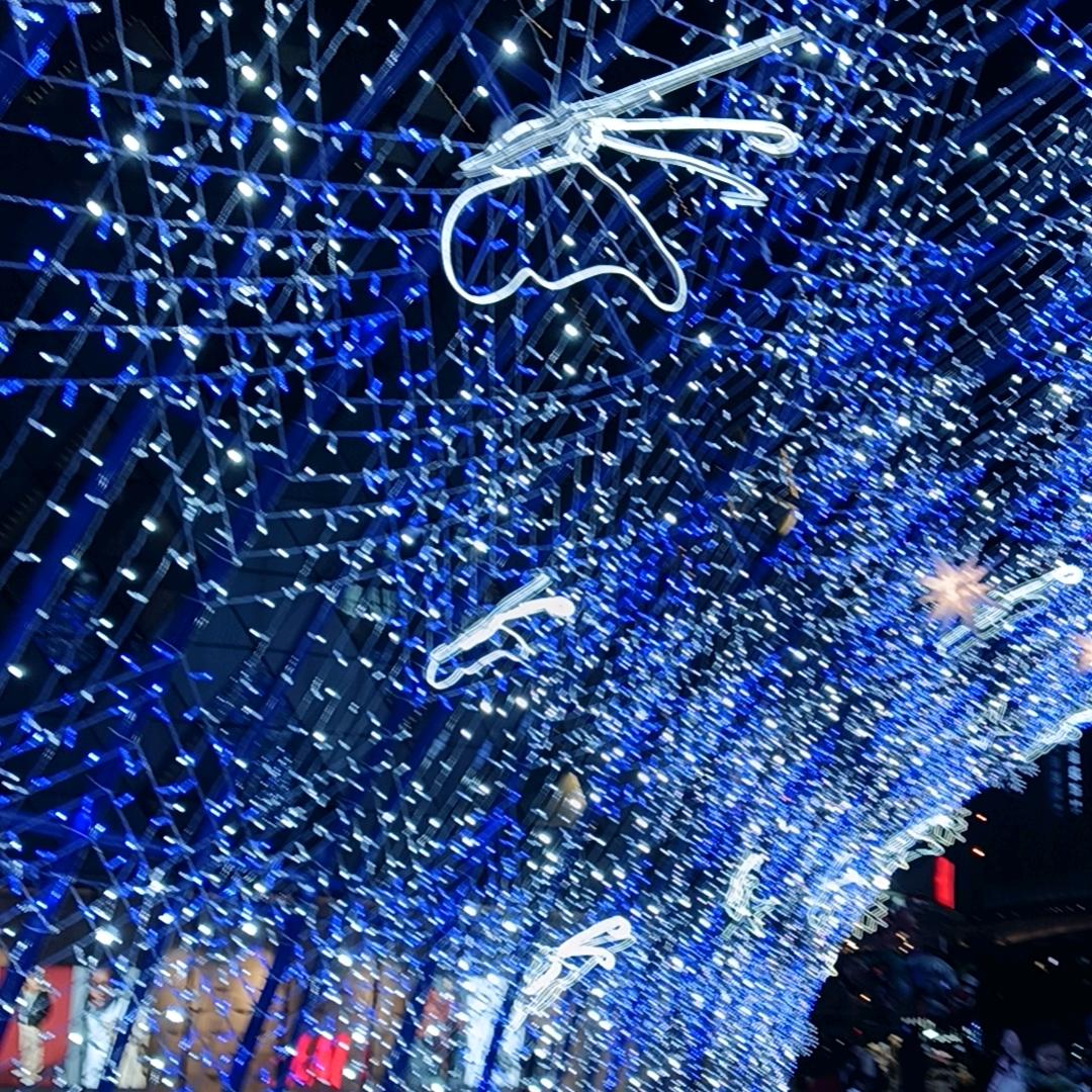 同城🏙露❤️营🏕