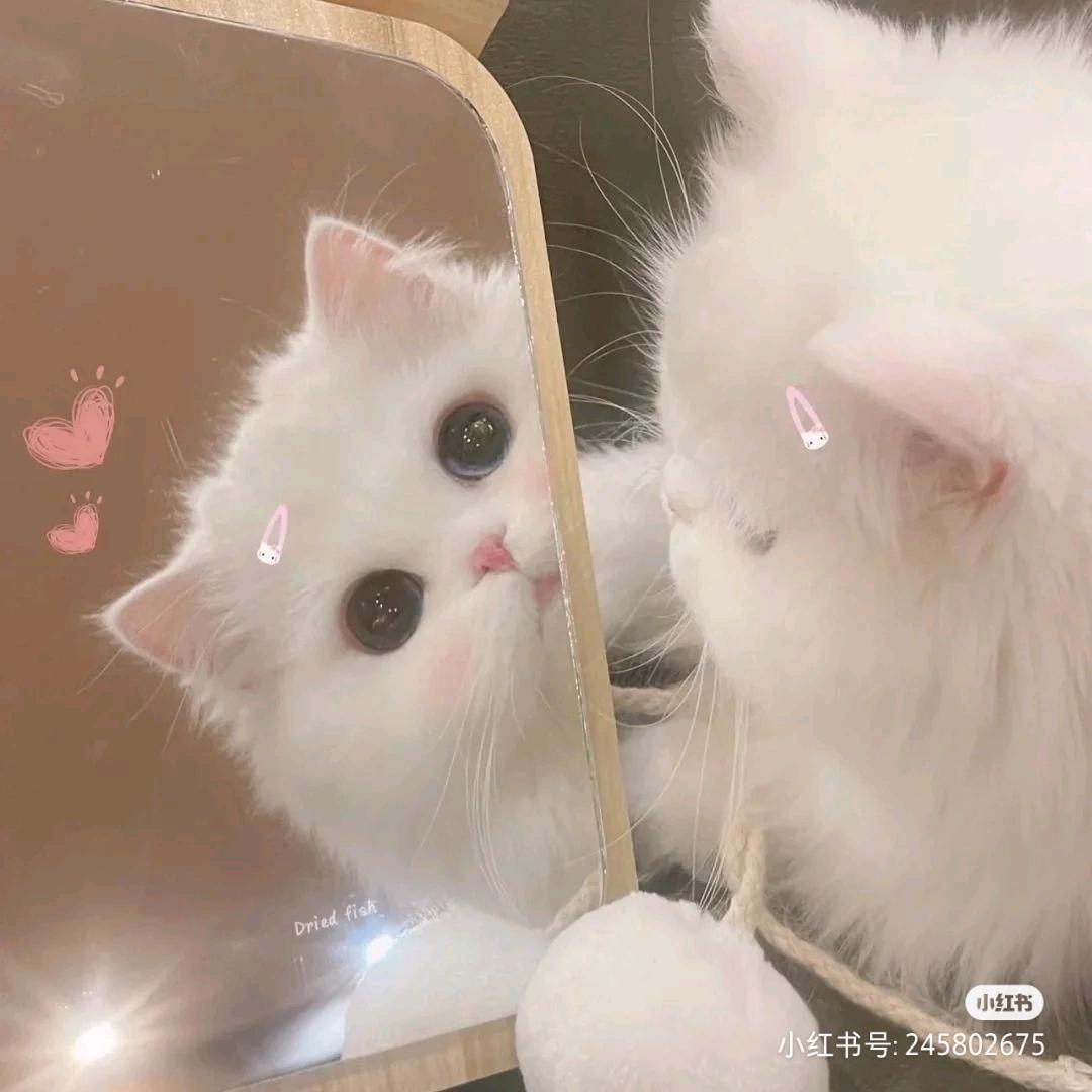春眠不觉晓