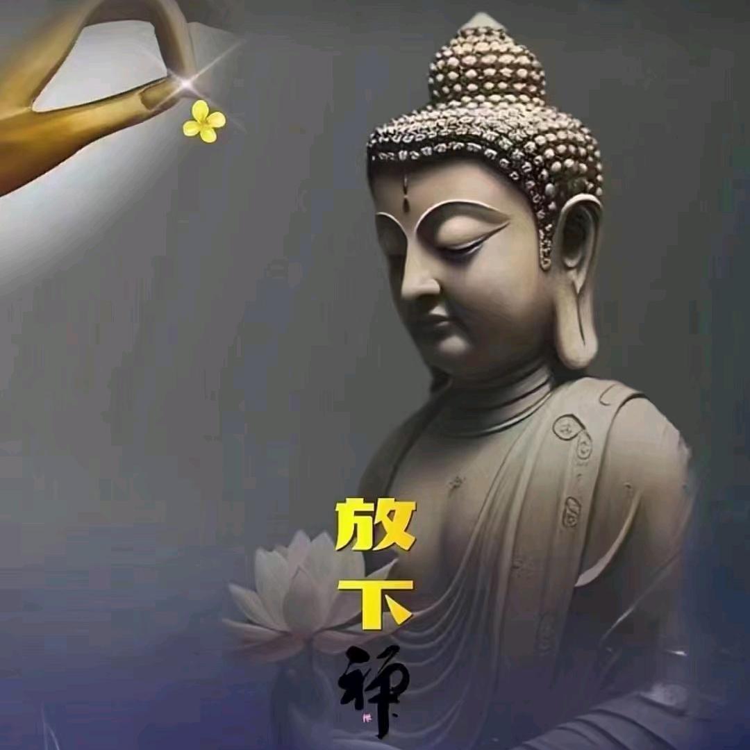 风中的遗憾