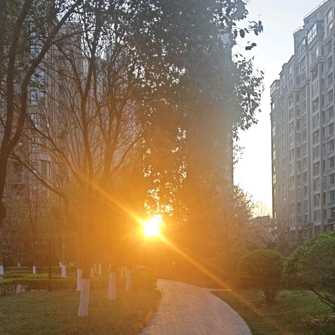 路人🍂