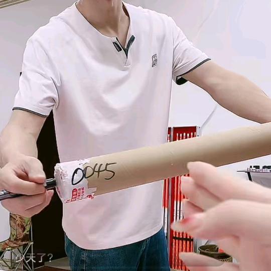 张柏芝7506062424869