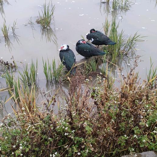 祝愿祖国繁荣昌盛